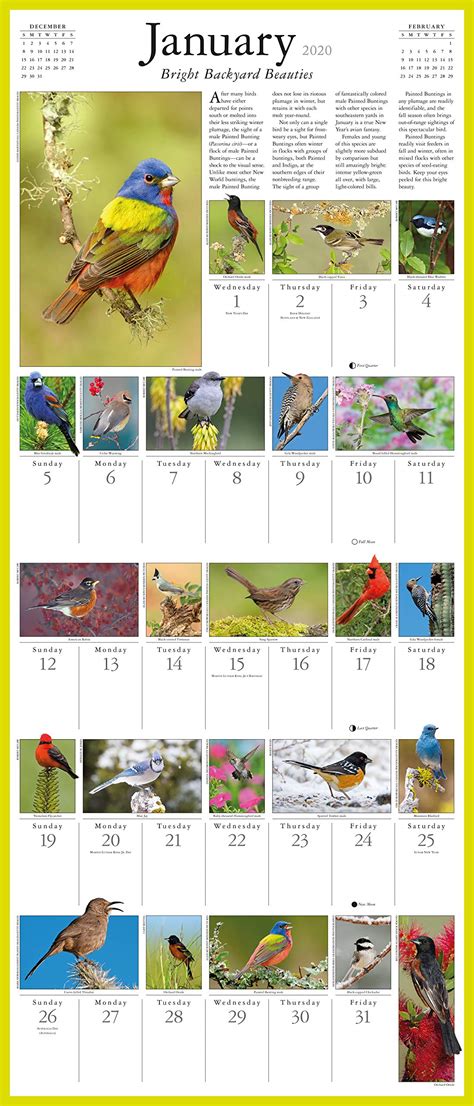 Audubon Bird Calendar - Kelsy Mellisa