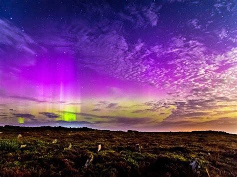 Northern lights, Caithness, Scotland – Blazing Cat Fur