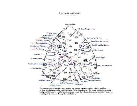 famous somatotypes chart 1 | Chart, Information graphics, Body types