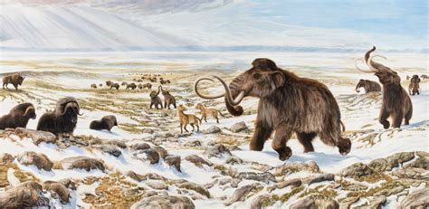 Changes in mammal communities - Canadian Museum of Nature