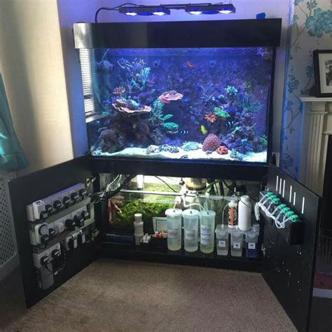 17 Best images about Marine Aquariums on Pinterest | Tank stand, Saltwater tank and Reef aquarium