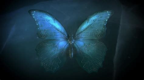 Butterfly Effect Wallpapers - Wallpaper Cave