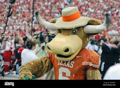 Oklahoma sooners mascot hi-res stock photography and images - Alamy