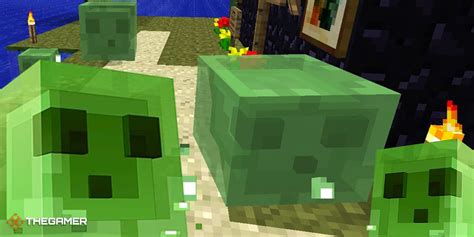 Everything You Need To Know About Slimes In Minecraft