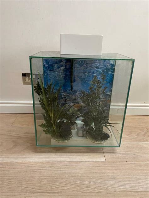 Fluval edge Fish tank 46 l | in Hinckley, Leicestershire | Gumtree