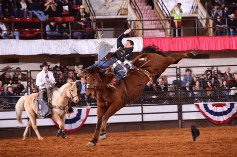 Rodeo Houston Wins 5th Consecutive Title at Fort Worth’s Rodeo X - News