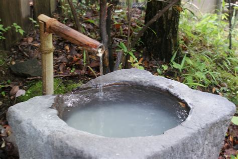 Soused Blueberries: Journey to Kyushu's Kurokawa Onsen