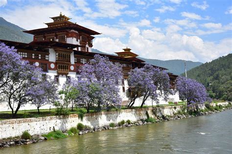 Punakha Dzong Monastery, Punakha, Bhutan in 2019 | Travel, Amazing destinations, Bhutan