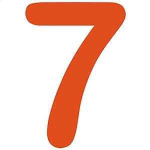 Amazon.com - Number 7 Style #30 (Seven) Decal Sticker (orange, 8 inch ...