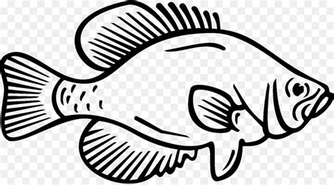 Free Crappie Fish Silhouette, Download Free Crappie Fish Silhouette png ...