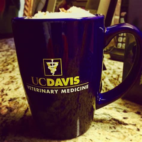 UC Davis School of Veterinary Medicine with whip | Veterinary medicine, Veterinary, Medicine