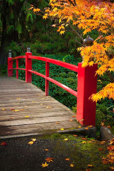 Japanese Bridge by Inge Johnsson | Japanese bridge, Japanese garden, Beach background images