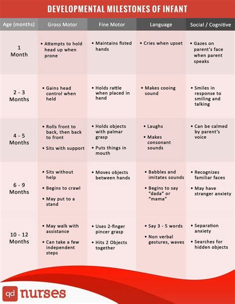 Developmental Milestones of an Infant - QD Nurses | Pediatric nursing ...