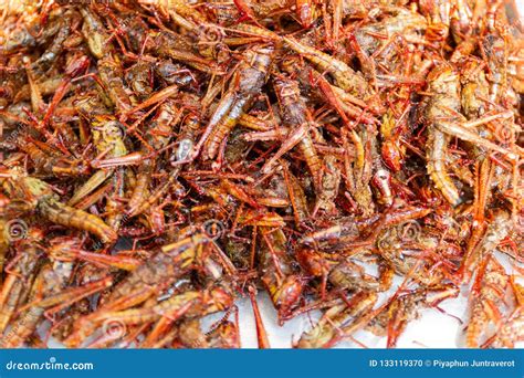 Fried Insects - Grasshopper Insect Crispy, Thai Food Stock Photo ...