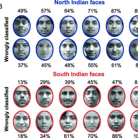 (PDF) Are you from North or South India? A hard face-classification task reveals systematic ...