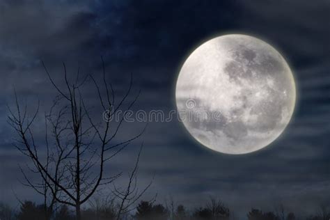 Scary night with full moon stock illustration. Image of mystery - 26657454