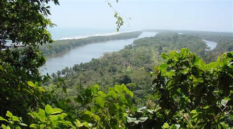 Tortuguero National Park | Fenceless Travel