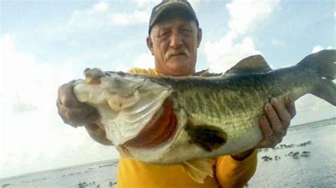 Potential Florida State Record Bass Caught - Wired2Fish.com