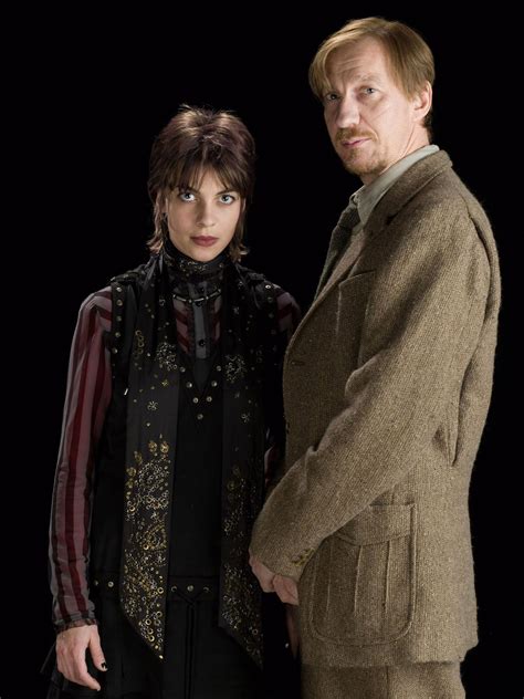 Portrait of Tonks and Lupin — Harry Potter Fan Zone