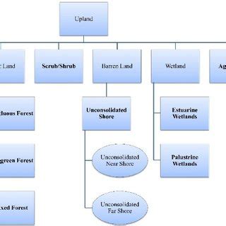 Modified National Oceanic and Atmospheric Administration (NOAA) Coastal ...