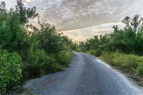 Location of the Former Cabins at Flamingo Lodge, Everglade… | Flickr