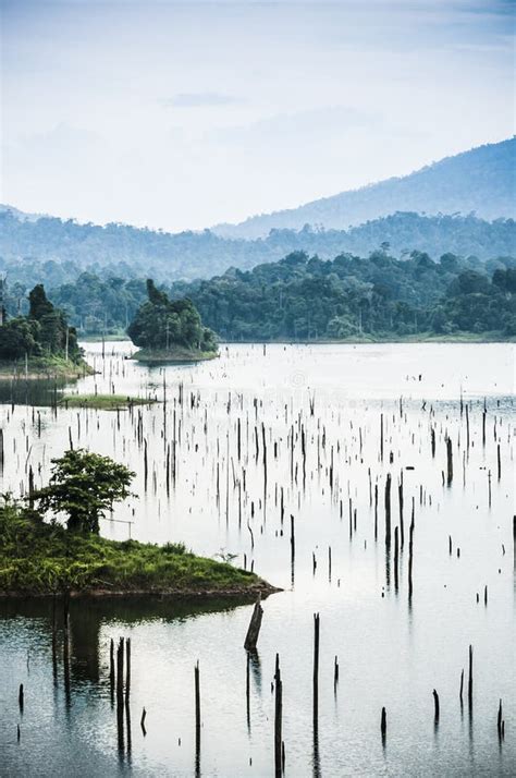 TASIK KENYIR DAM stock photo. Image of kenyir, east - 175474492