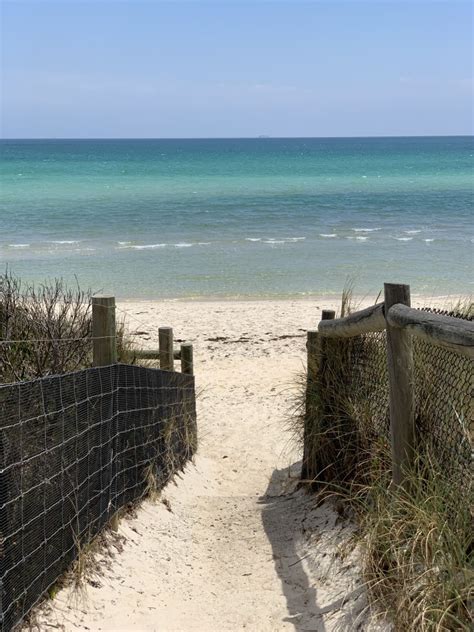 Seaford Foreshore Reserve, Seaford - Eco Explorers