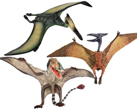 Buy Gemini&Genius3pcs Pterodactyl Action Figures Realistic Flying Dinosaur Pteranodon Dino Toys ...