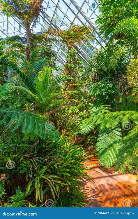 Bicentennial Conservatory at Botanic Garden in Adelaide, Australia ...