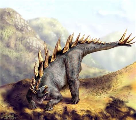 Tuojiangosaurus Pictures & Facts - The Dinosaur Database