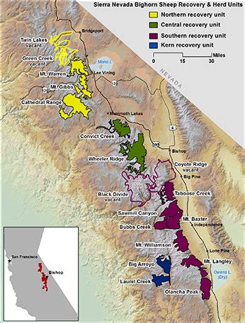 Sierra Nevada Bighorn Sheep Maps and Locations