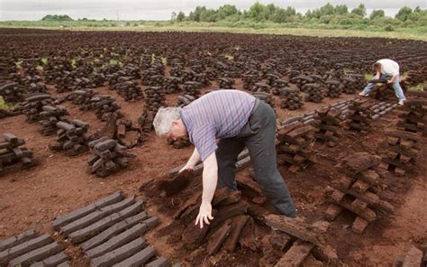 How to Make Peat Fuel Pellets from Peat Harvesting to Peat Pellet Mill