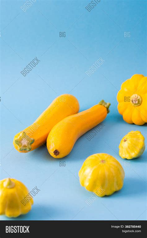 Fresh Harvest Zucchini Image & Photo (Free Trial) | Bigstock