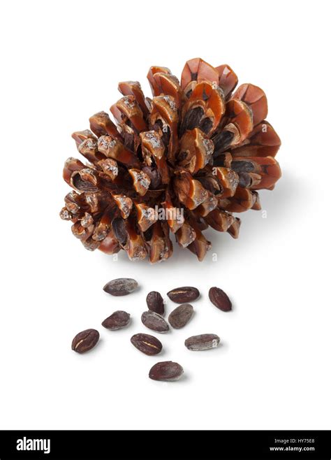 Stone pine cone, pinoli, and seeds on white background Stock Photo - Alamy