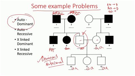 Autosomal Recessive Inheritance Pedigree