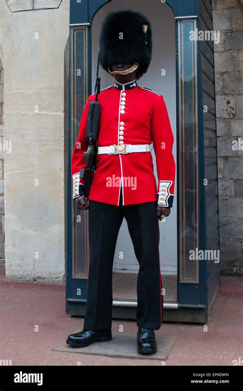 Queen's Guard with gun at the Windsor Castle, England Stock Photo - Alamy