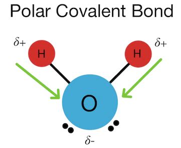 Polar Covalent Bond Vs Nonpolar Covalent Bond