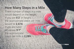 How Many Steps in a Mile - Howmanypedia