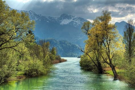 Free photo: River and trees - Forest, Green, Landscape - Free Download - Jooinn