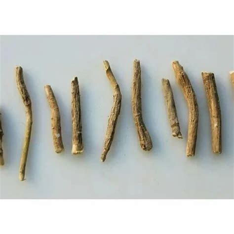 Argyreia Nervosa Seeds Root at Rs 50/kg | Hawaiian Baby Woodrose Seeds ...