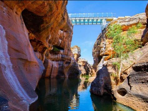 Cobbold Gorge glass bridge leads new outback tourism attractions | The ...