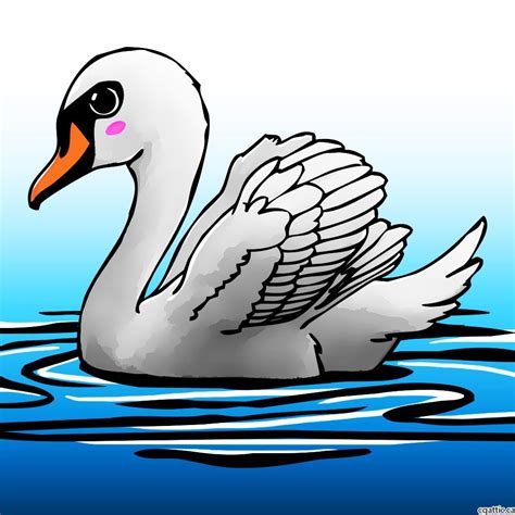 Swan Drawing Images at GetDrawings | Free download