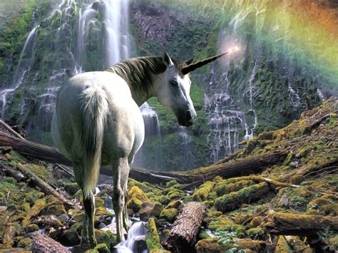 An Incredible Compilation of Authentic Unicorn Pictures - Over 999 Genuine Images in Stunning 4K ...