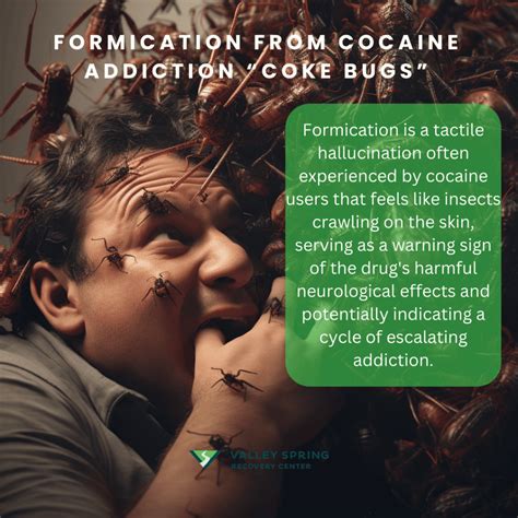 Cocaine Addiction: Symptoms, Causes, Effects And Treatment