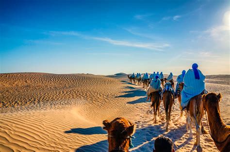 Desert odyssey: planning your trip to the Tunisian Sahara - Lonely Planet