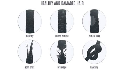 4c Hair Split Ends - Explanation & How To Get Rid Of Them