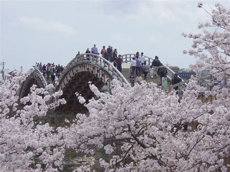 Japan In Depth (Reverse) - Takayama Spring Festival & Cherry Blossom ...