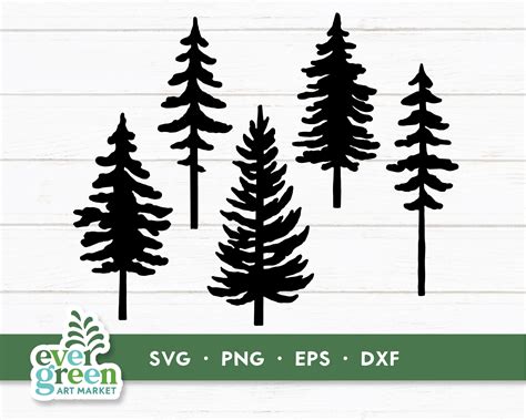 Simple Evergreen Tree Outline