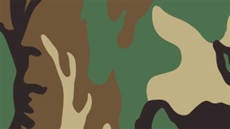 Camouflage 101: Woodland Camo | Rock Island Auction