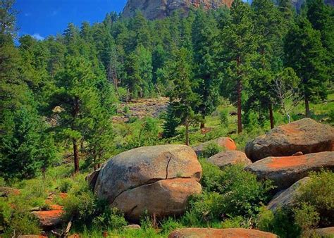 Pine, CO 2023: Best Places to Visit - Tripadvisor